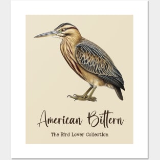 American Bittern - The Bird Lover Collection Posters and Art